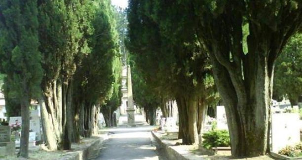 Viale_cimitero_01