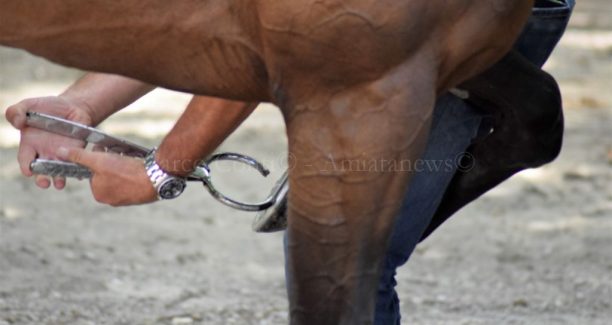 Visita_Vacallo_DSC1064