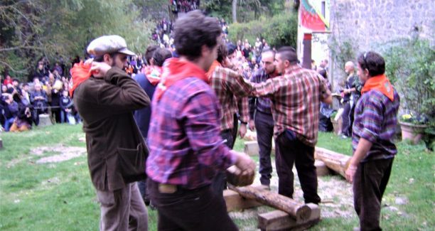 Vivo_dOrcia_Palio_Boscaiolo_03