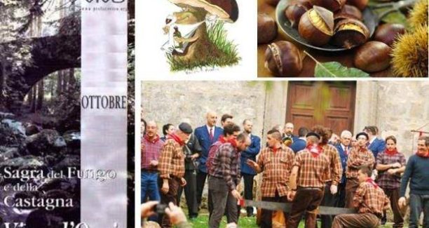 vivo_dorcia_sagra_fingo_castagne_collage