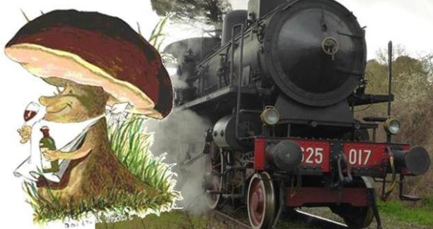 vivo_dorcia_sagra_fungo_treno_natura_01