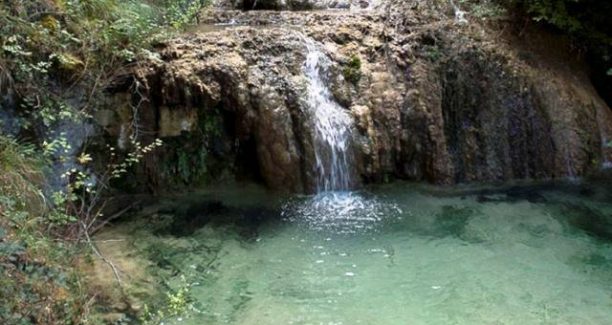 vivo_dorcia_sorgenti