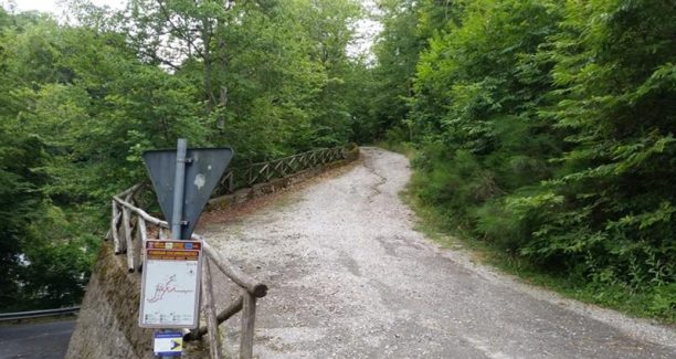 Vivo_dOrcia_strada_Ermicciolo_20160715