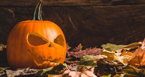 Zuccca_intagliata_01