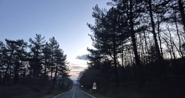 alba amiata