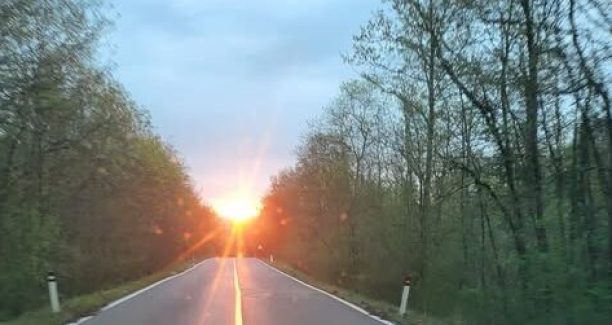 alba