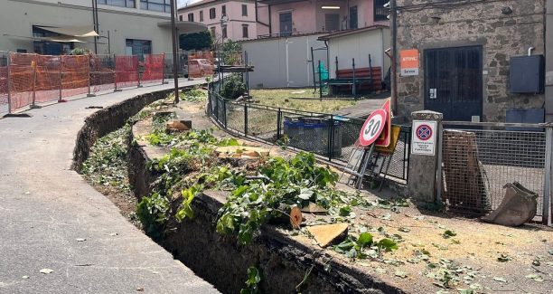 arcidosso senza alberi