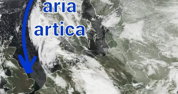 aria artica