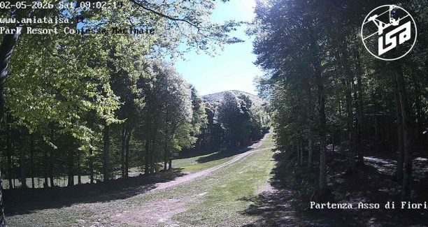 asso-di-fiori