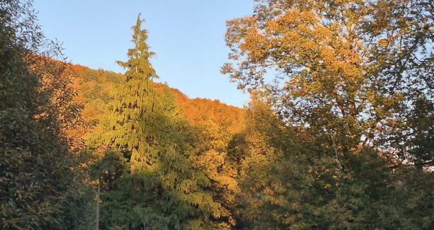 autunno amiatino