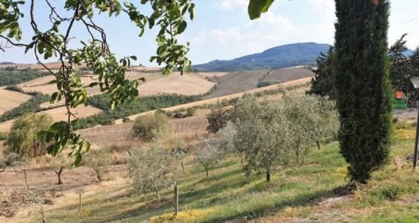 campagna amiatina