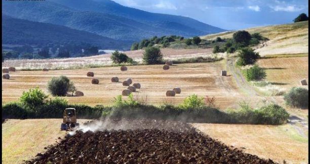Maremma - Foto di Alessandro Baldacci