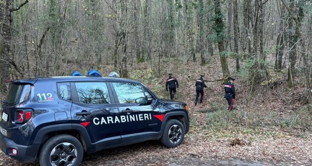 carabinieri-Piancastagnaio-boschi