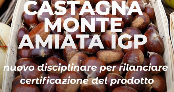 castagne IGP