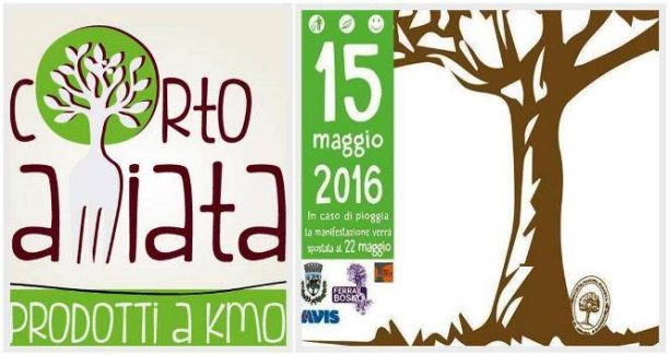 corto_amiata_rimboschiamoci_maniche