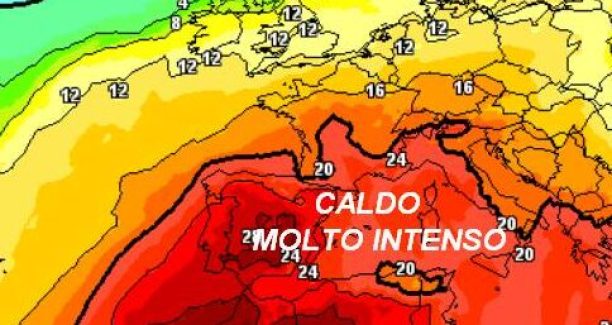 crivelli caldo