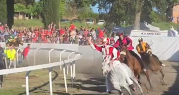 diego minucci bomarzo