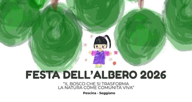 festa albero seggiano