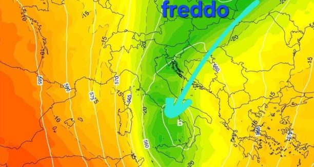 freddoo