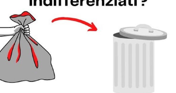 indifferenziata
