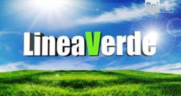 linea-verde1