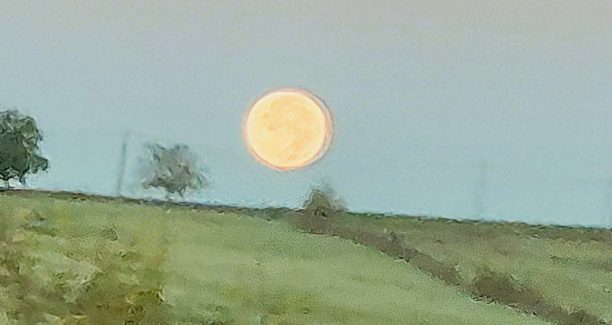 luna