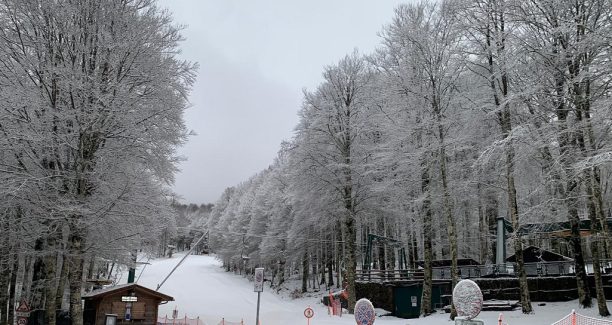 macinaie 26 gennaio