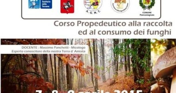 manifestino_alto_basso