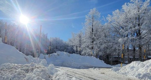neve amiata crivelli
