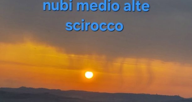 nubi