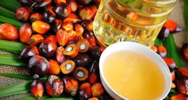 olio_di_palma