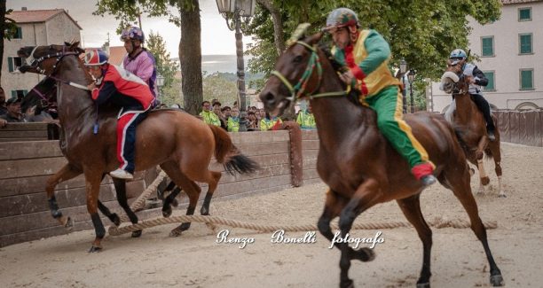 palio cdp bonelli 2