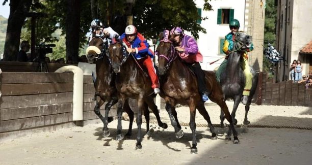 palio di castel del piano renzo bonelli