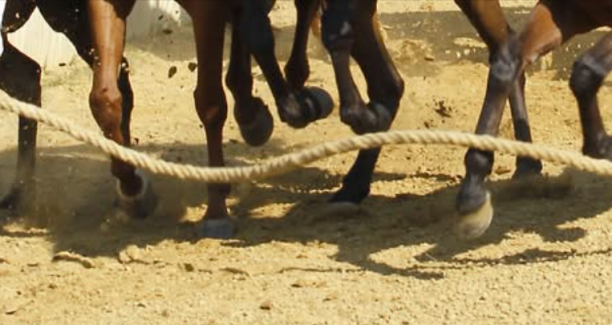 palio siena
