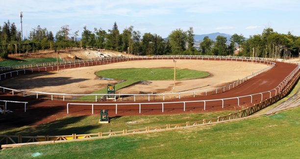 parco tematico equestre