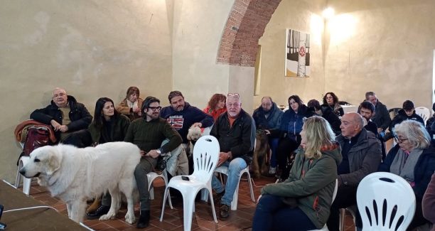 pastoritudine