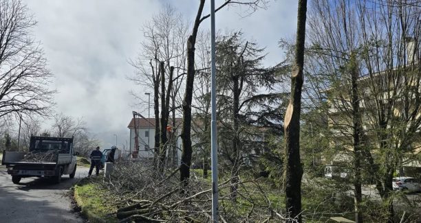 piante casteldelpiano