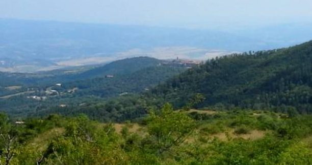 riserva_naturale_poggio_olmo