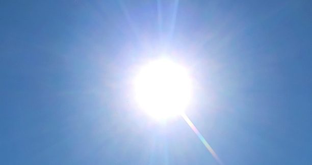 sole