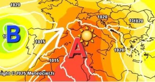sole darde