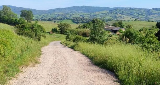strade arcidosso