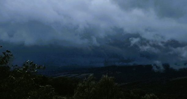 temporali autorigeneranti