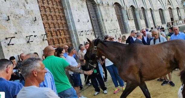 tratta 29 giugno
