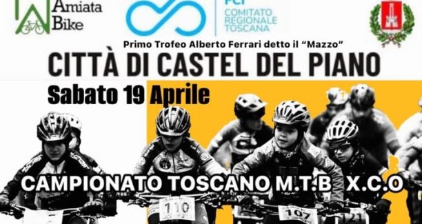 trofeo bike
