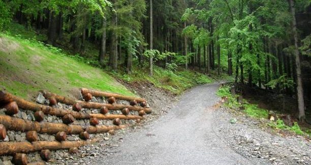 viabilità_forestale