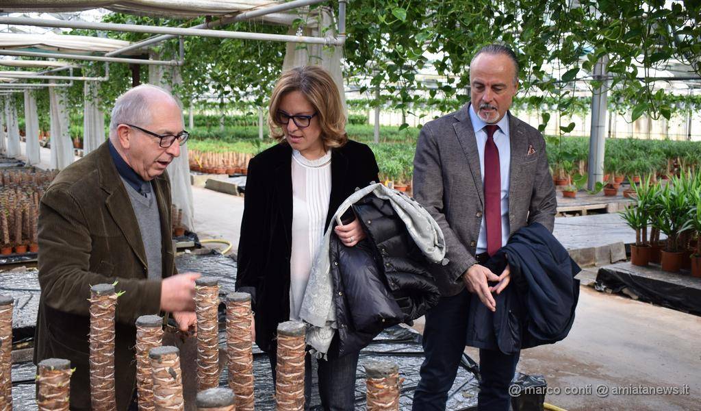 Piancastagnaio_Inaugurazione_Teleriscaldamento_visita_Floramiata_20171213_DSC_0211
