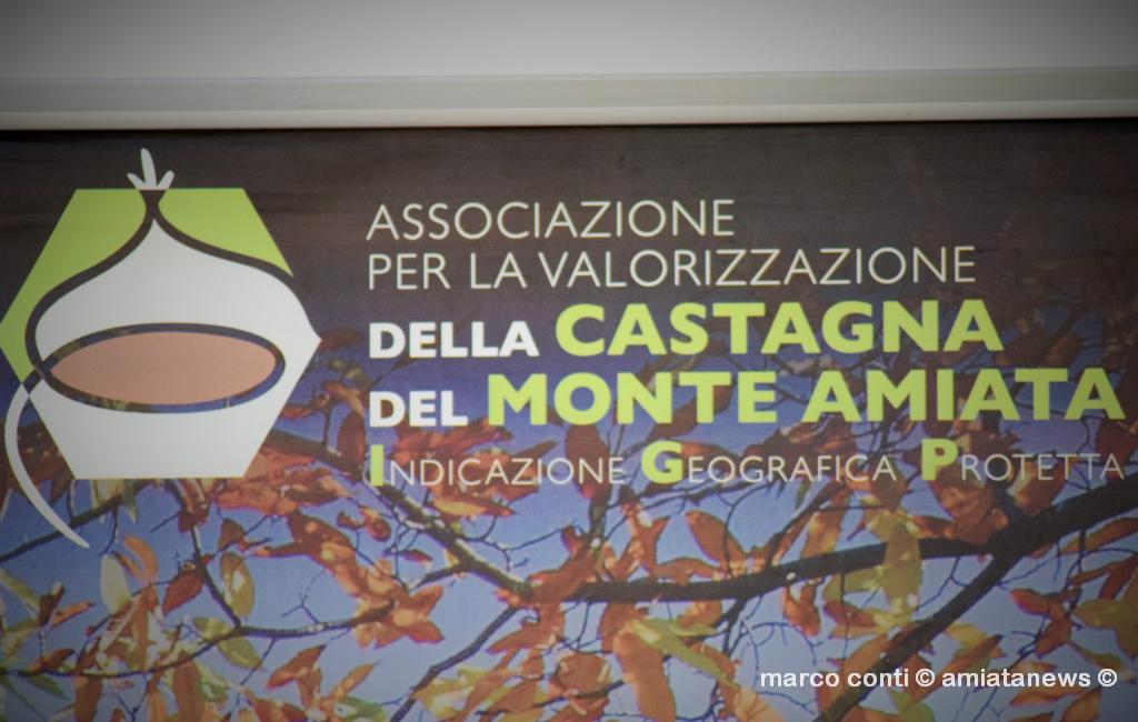 Piancastagnaio_Convegno_PIF_Vacasto_Plus_Open_Riccio_20181004_DSC_8857